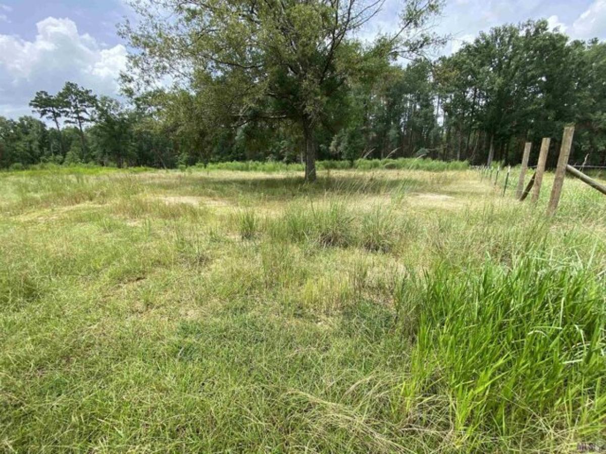 Picture of Residential Land For Sale in Holden, Louisiana, United States