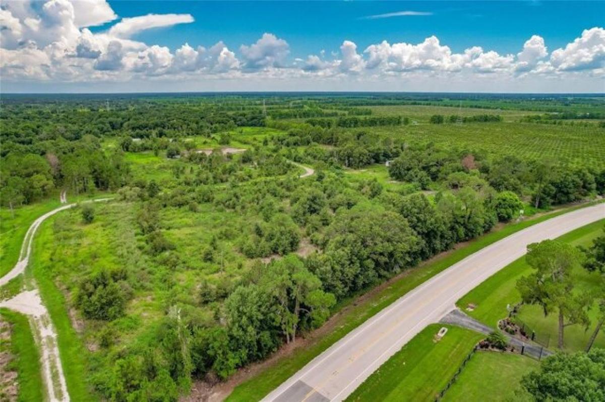 Picture of Residential Land For Sale in Avon Park, Florida, United States