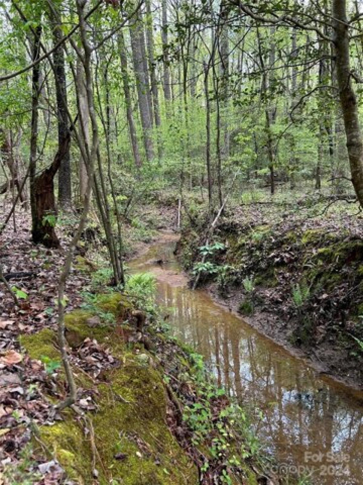 Picture of Residential Land For Sale in Lancaster, South Carolina, United States