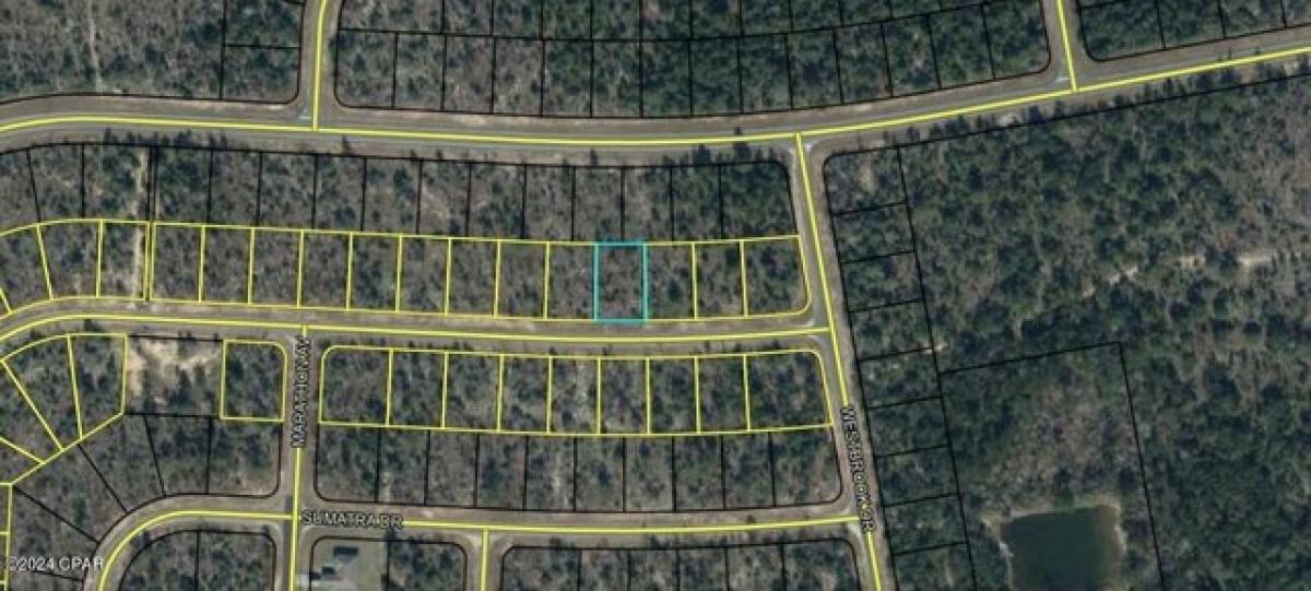 Picture of Residential Land For Rent in Chipley, Florida, United States