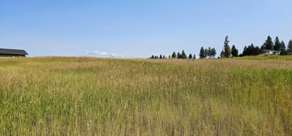 Picture of Residential Land For Sale in Colville, Washington, United States