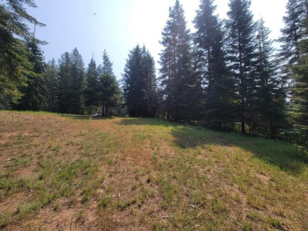 Picture of Residential Land For Sale in Cusick, Washington, United States