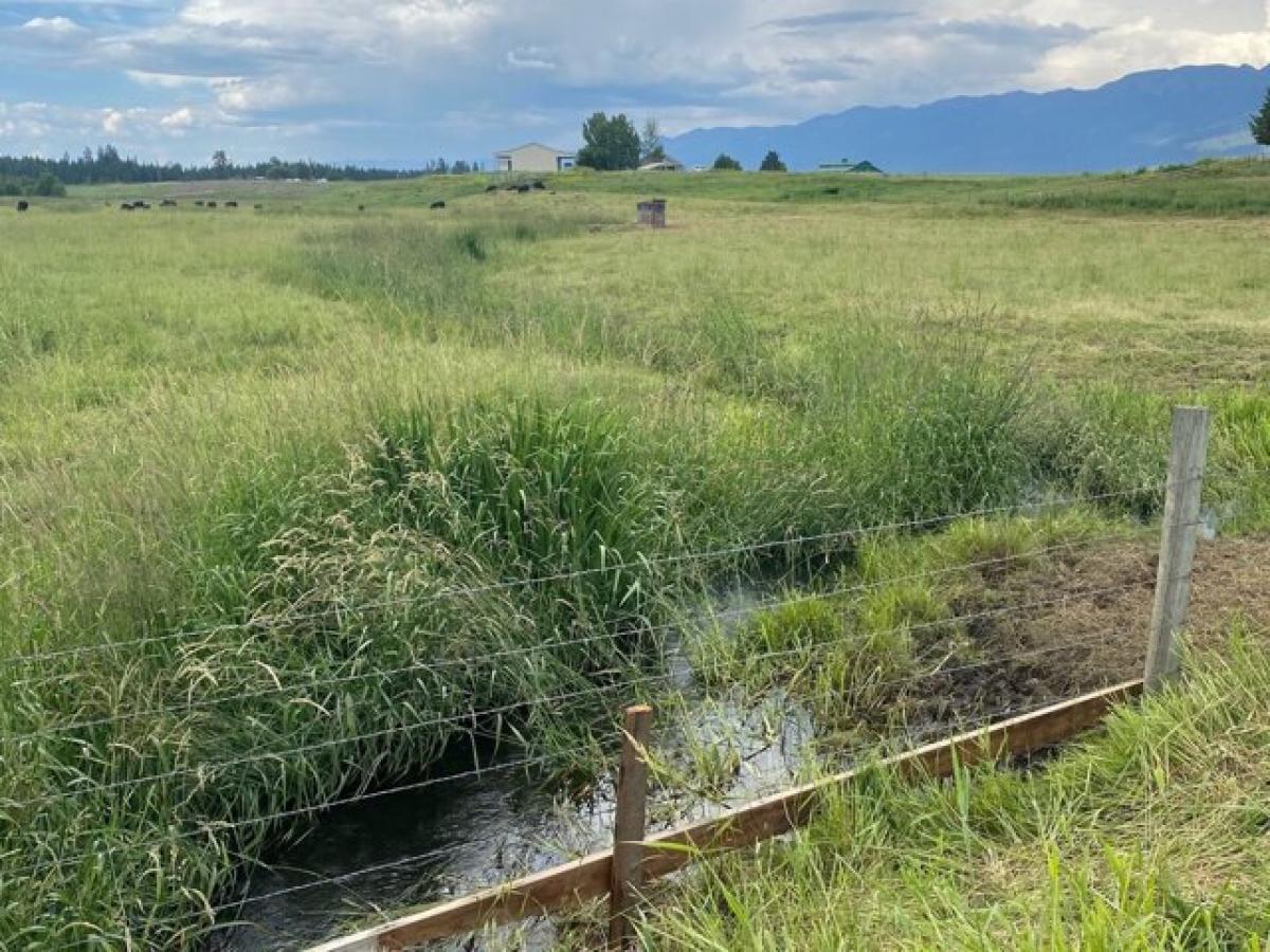 Picture of Residential Land For Sale in Ronan, Montana, United States