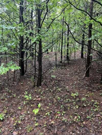 Residential Land For Sale in Rocky Mount, Virginia