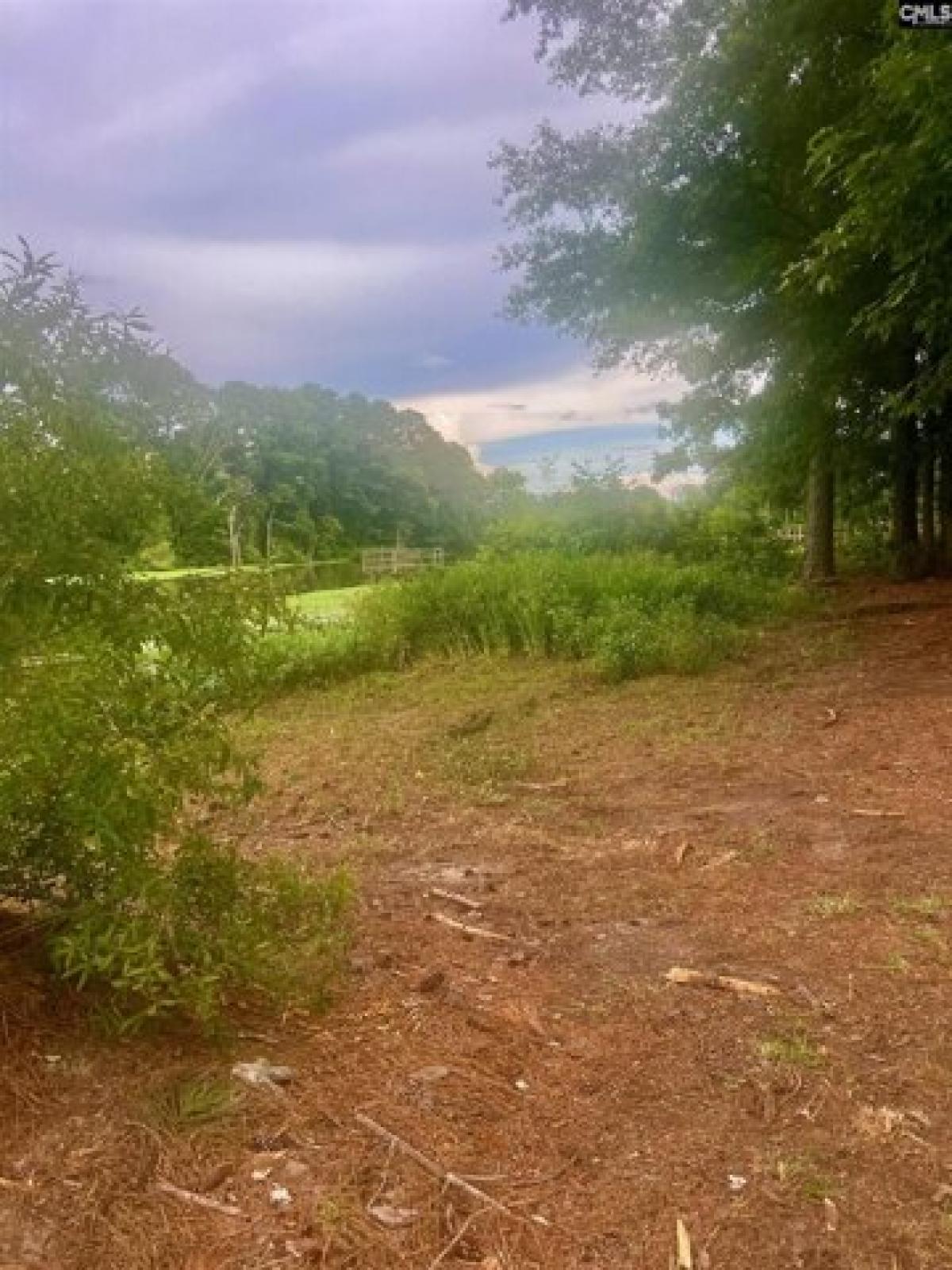 Picture of Residential Land For Sale in Saluda, South Carolina, United States