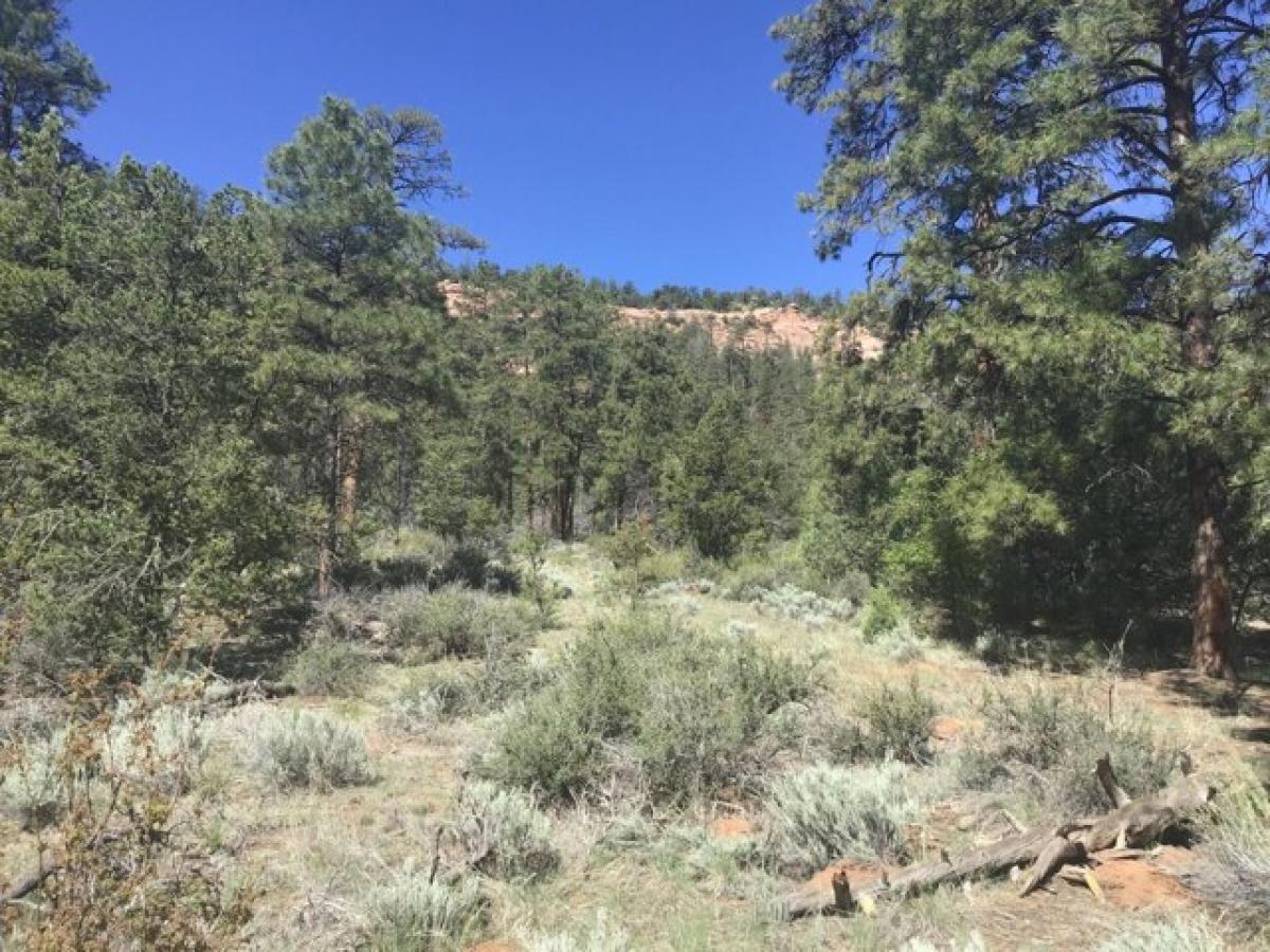 Picture of Residential Land For Sale in Ramah, New Mexico, United States