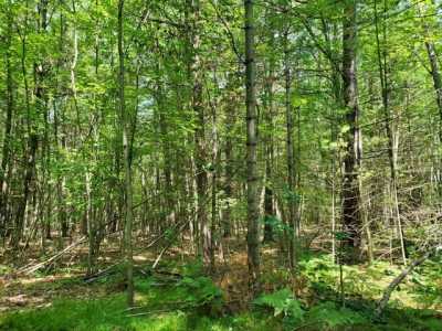 Residential Land For Sale in Houghton Lake, Michigan