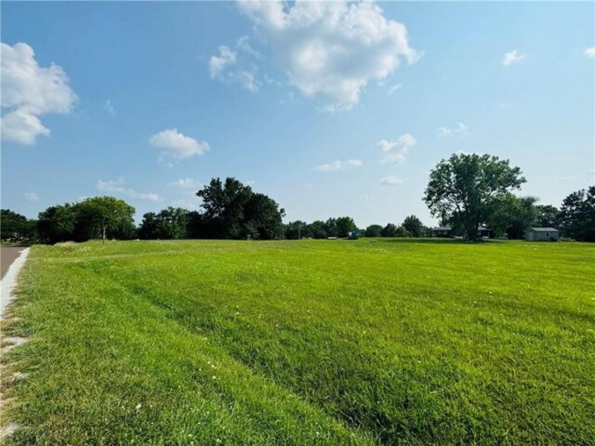 Picture of Residential Land For Sale in Gallatin, Missouri, United States