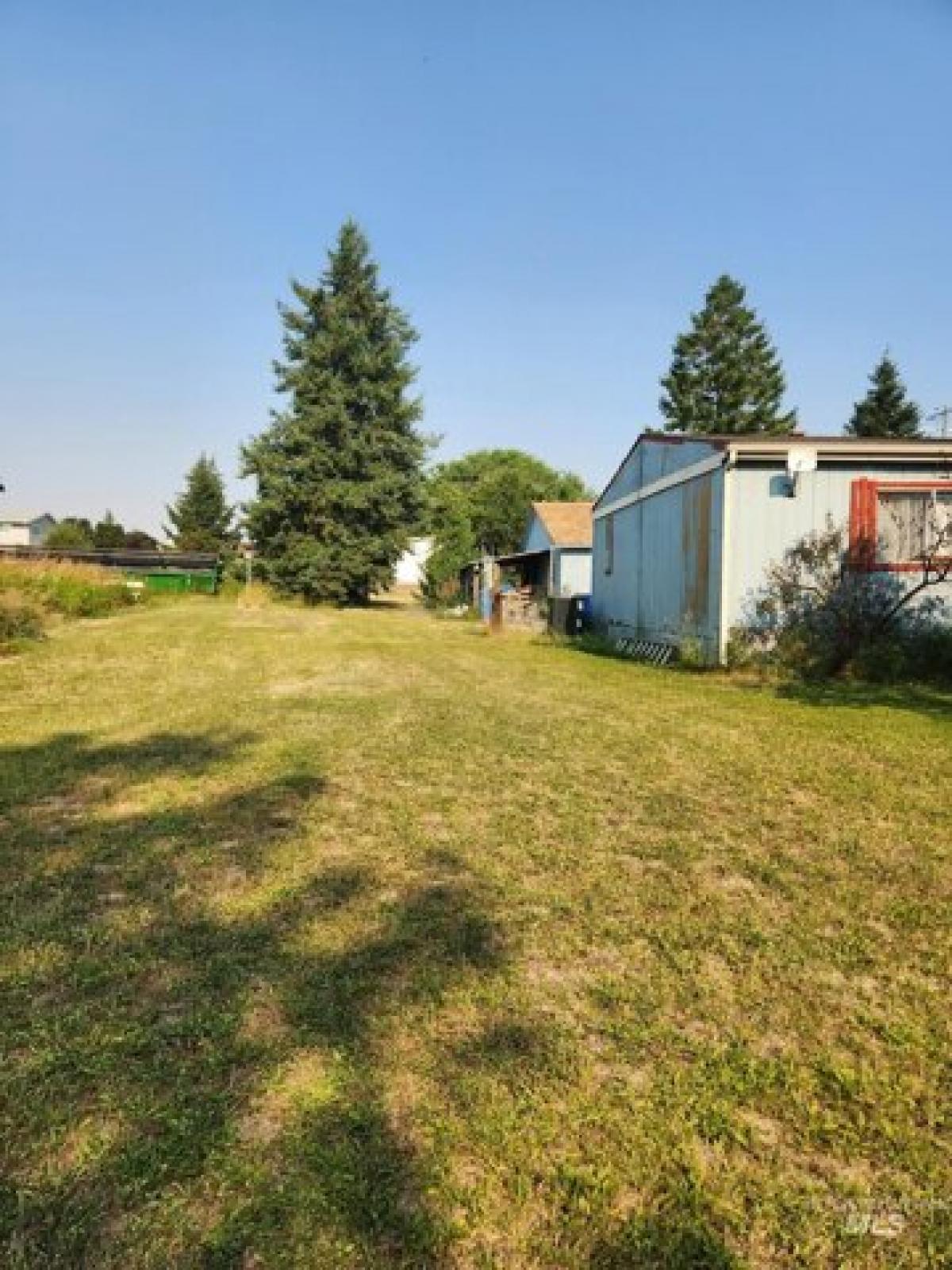 Picture of Home For Sale in Nezperce, Idaho, United States