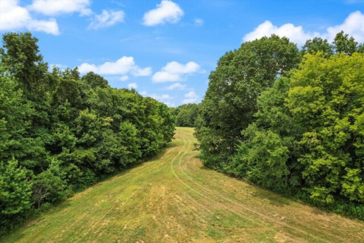 Picture of Residential Land For Sale in Charlotte, Tennessee, United States