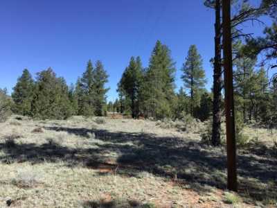 Residential Land For Sale in Ramah, New Mexico