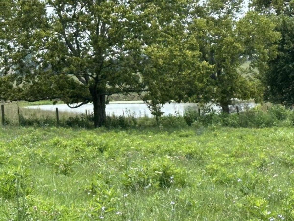 Picture of Residential Land For Sale in Georgetown, Kentucky, United States