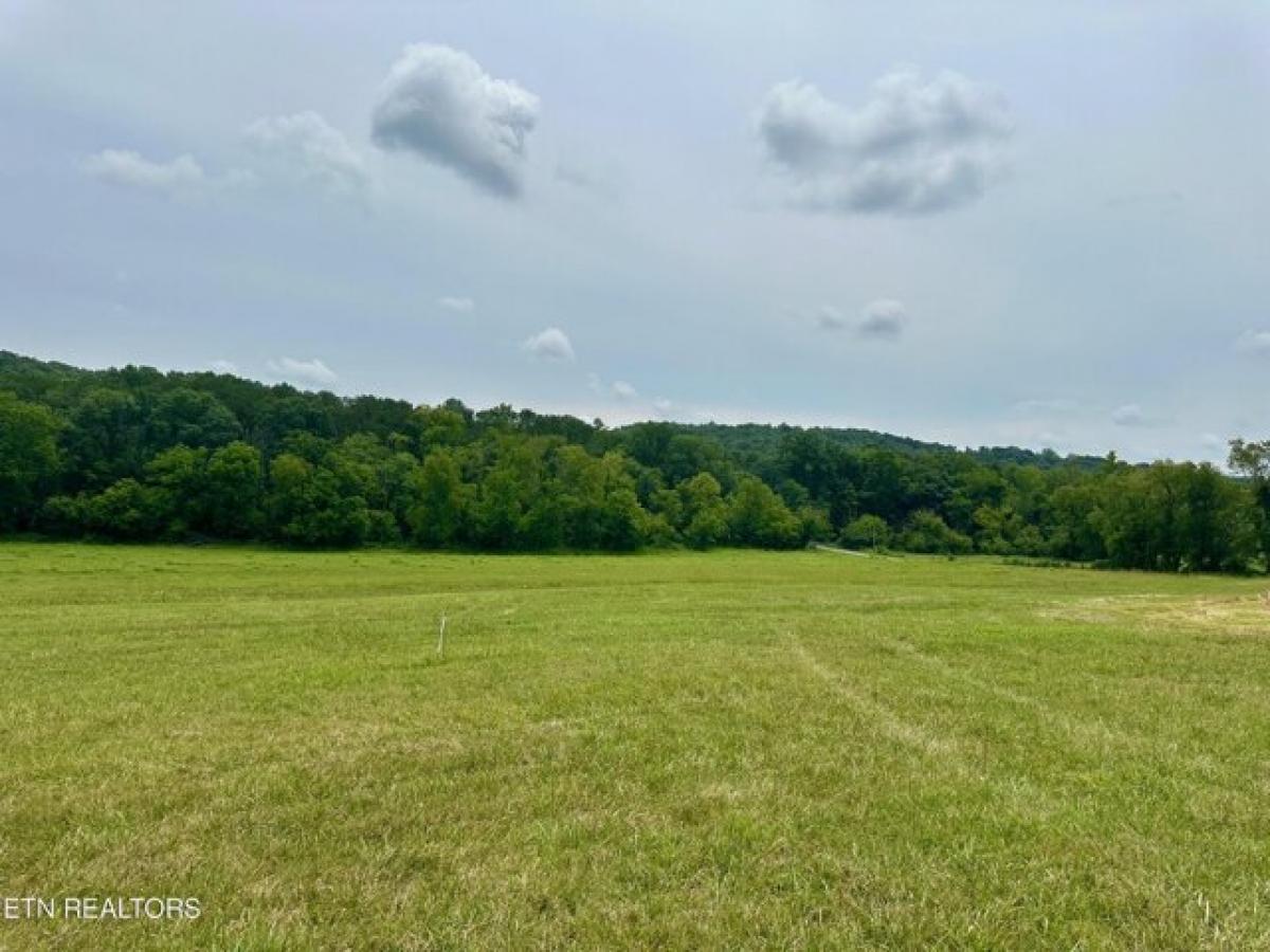 Picture of Residential Land For Sale in Blaine, Tennessee, United States