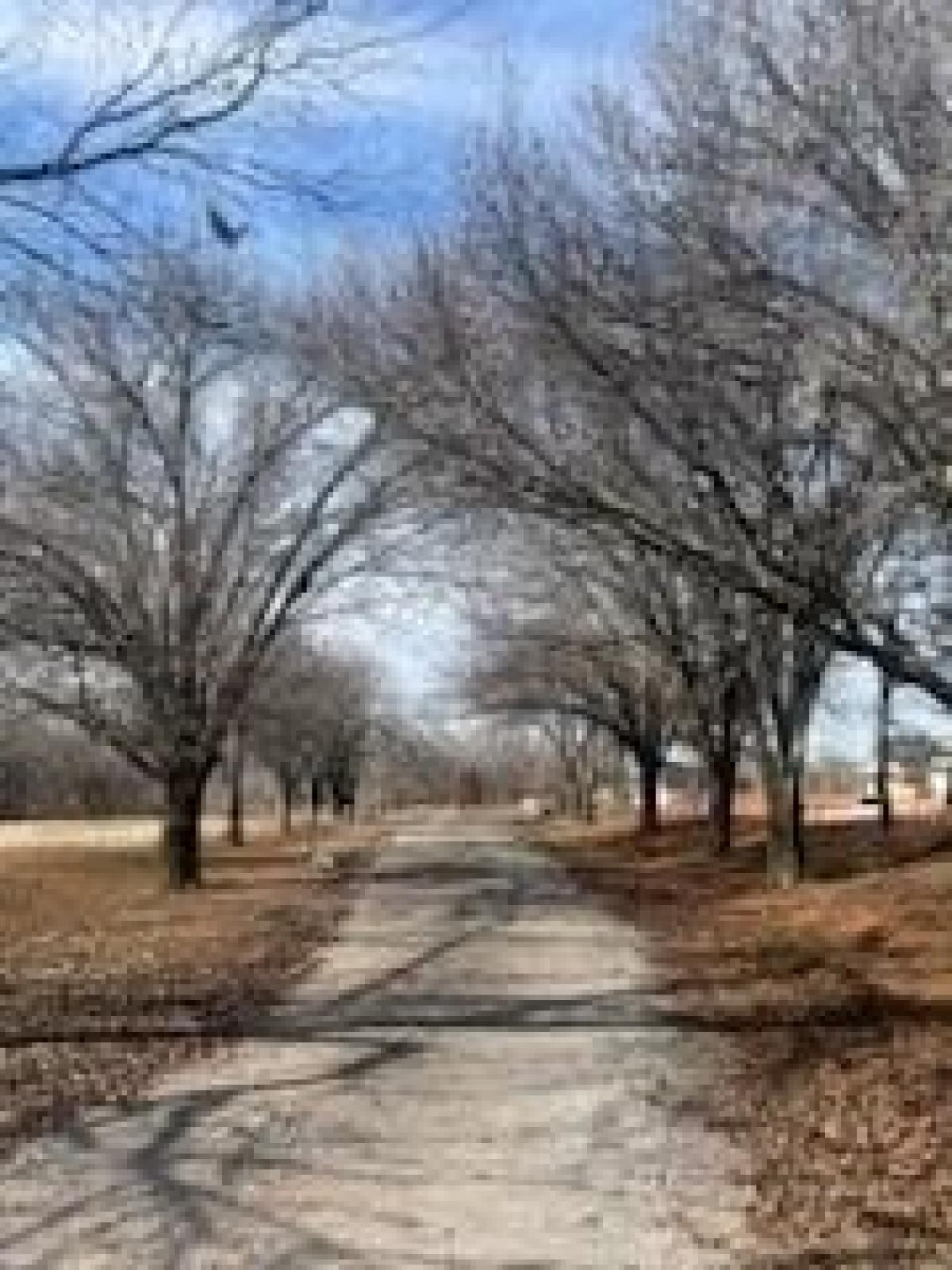 Picture of Residential Land For Sale in Washington, Oklahoma, United States