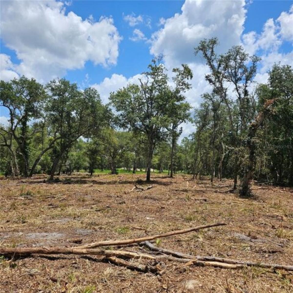 Picture of Residential Land For Sale in Webster, Florida, United States