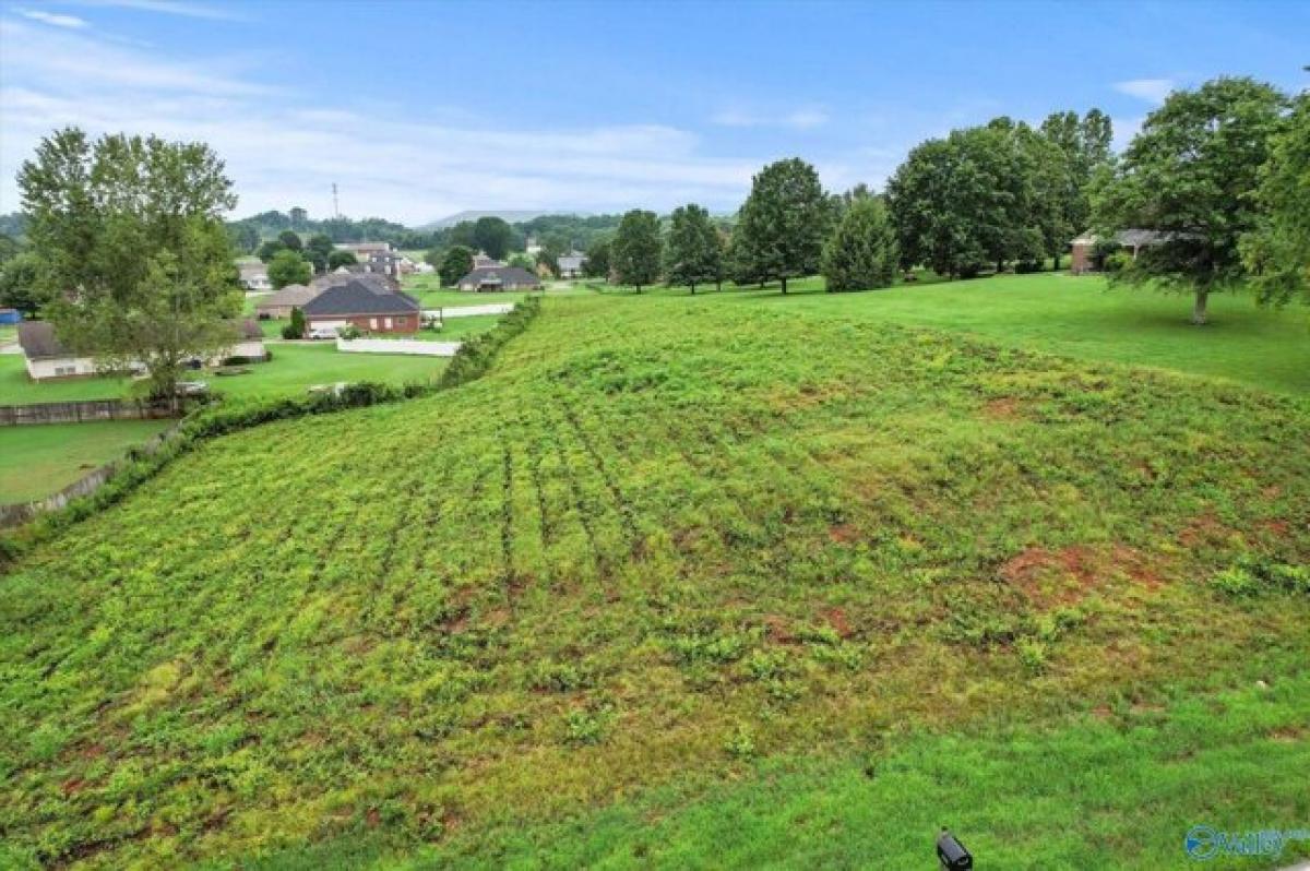 Picture of Residential Land For Sale in Harvest, Alabama, United States