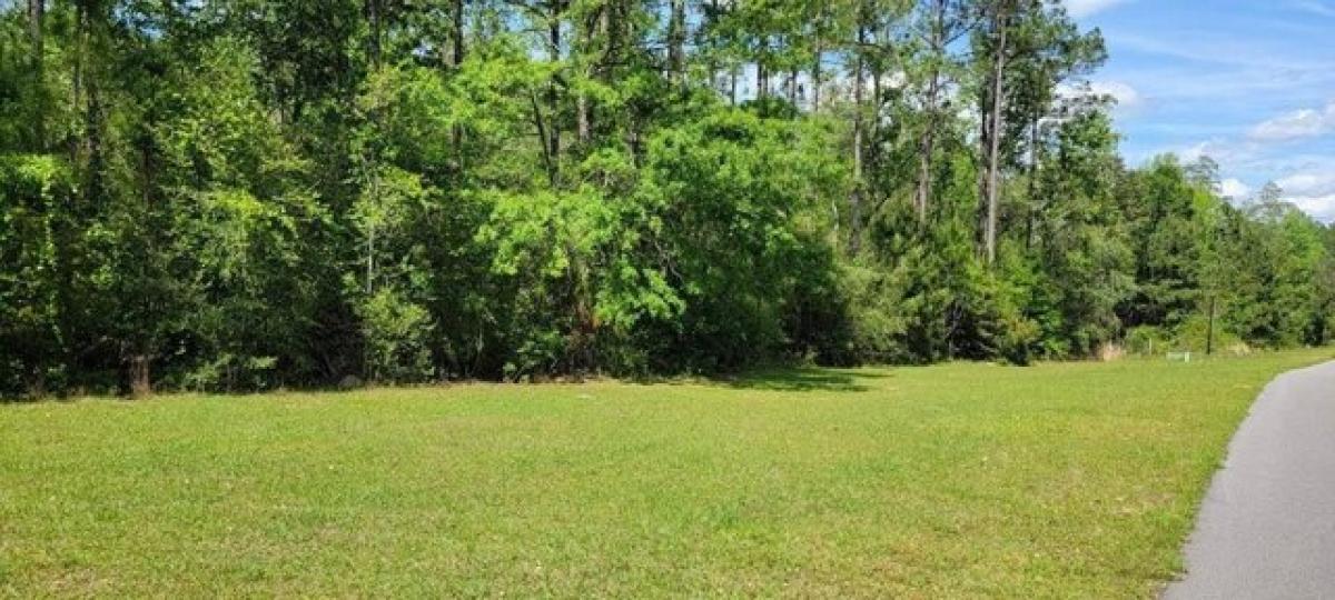 Picture of Residential Land For Sale in Carriere, Mississippi, United States