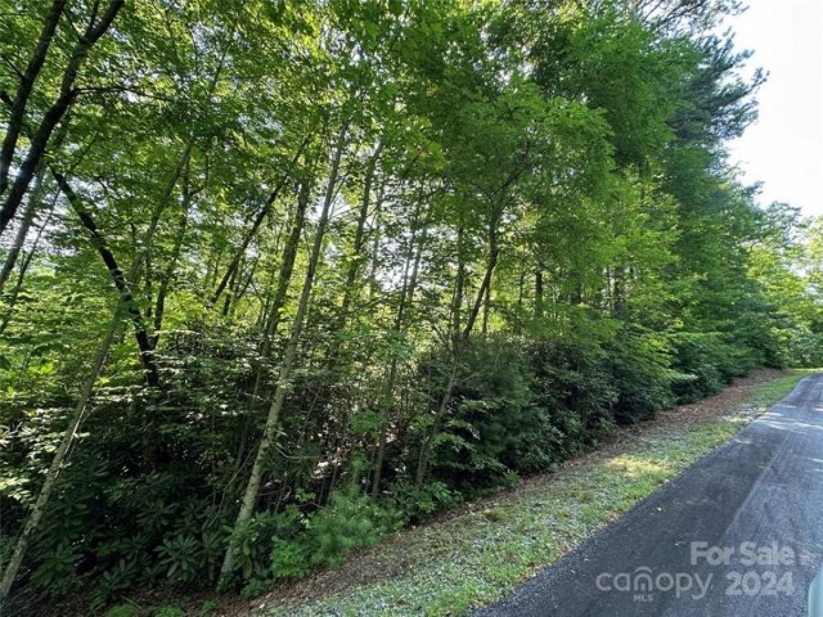 Picture of Residential Land For Sale in Rosman, North Carolina, United States