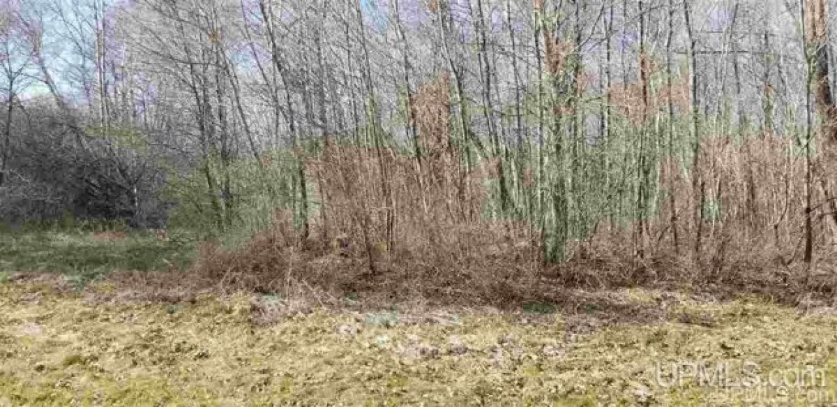 Picture of Residential Land For Sale in Ontonagon, Michigan, United States