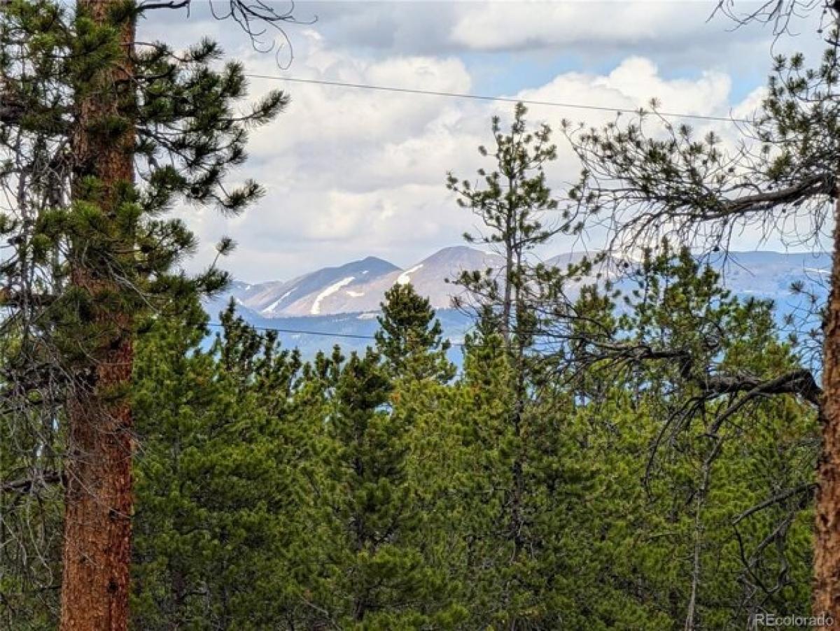 Picture of Residential Land For Sale in Twin Lakes, Colorado, United States