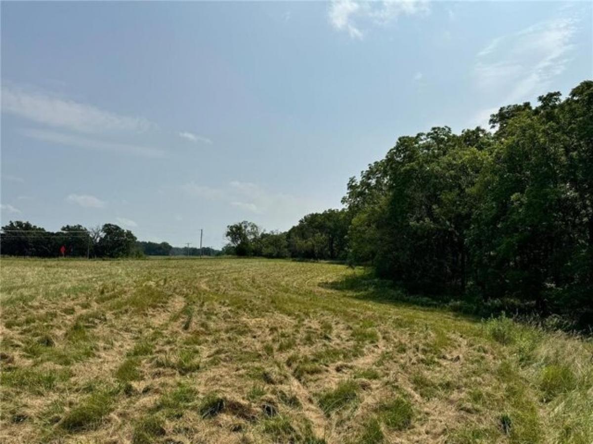 Picture of Residential Land For Sale in Oronoco, Minnesota, United States