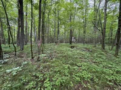 Residential Land For Sale in Gresham, Wisconsin