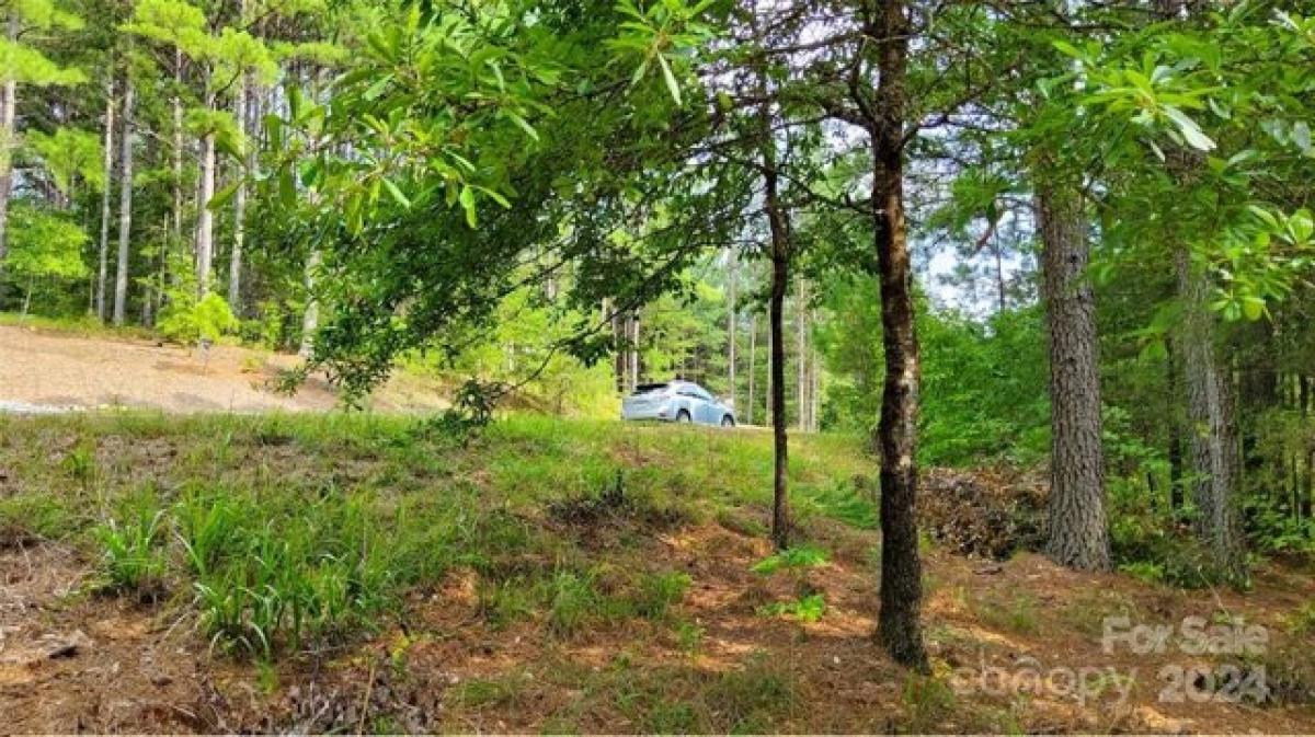 Picture of Residential Land For Sale in Mill Spring, North Carolina, United States