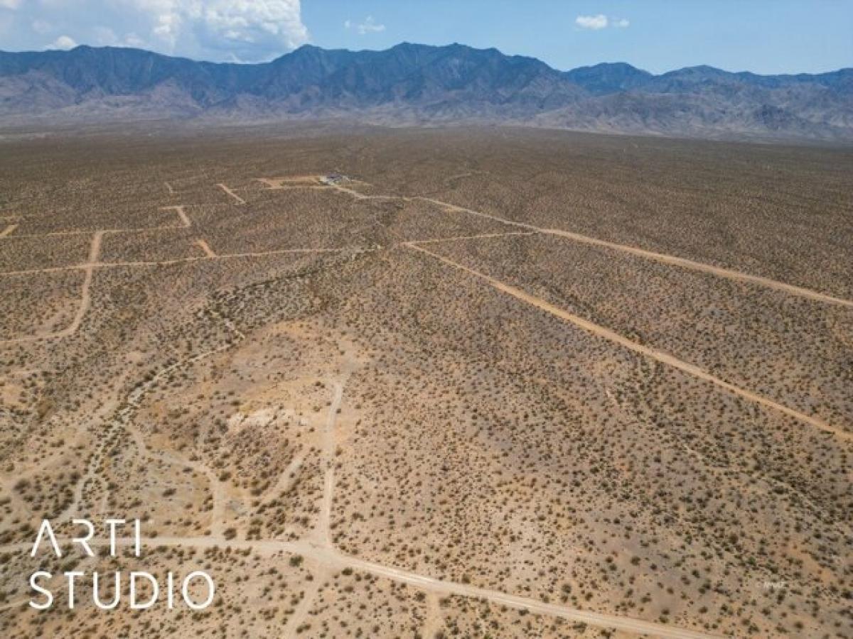 Picture of Residential Land For Sale in Littlefield, Arizona, United States