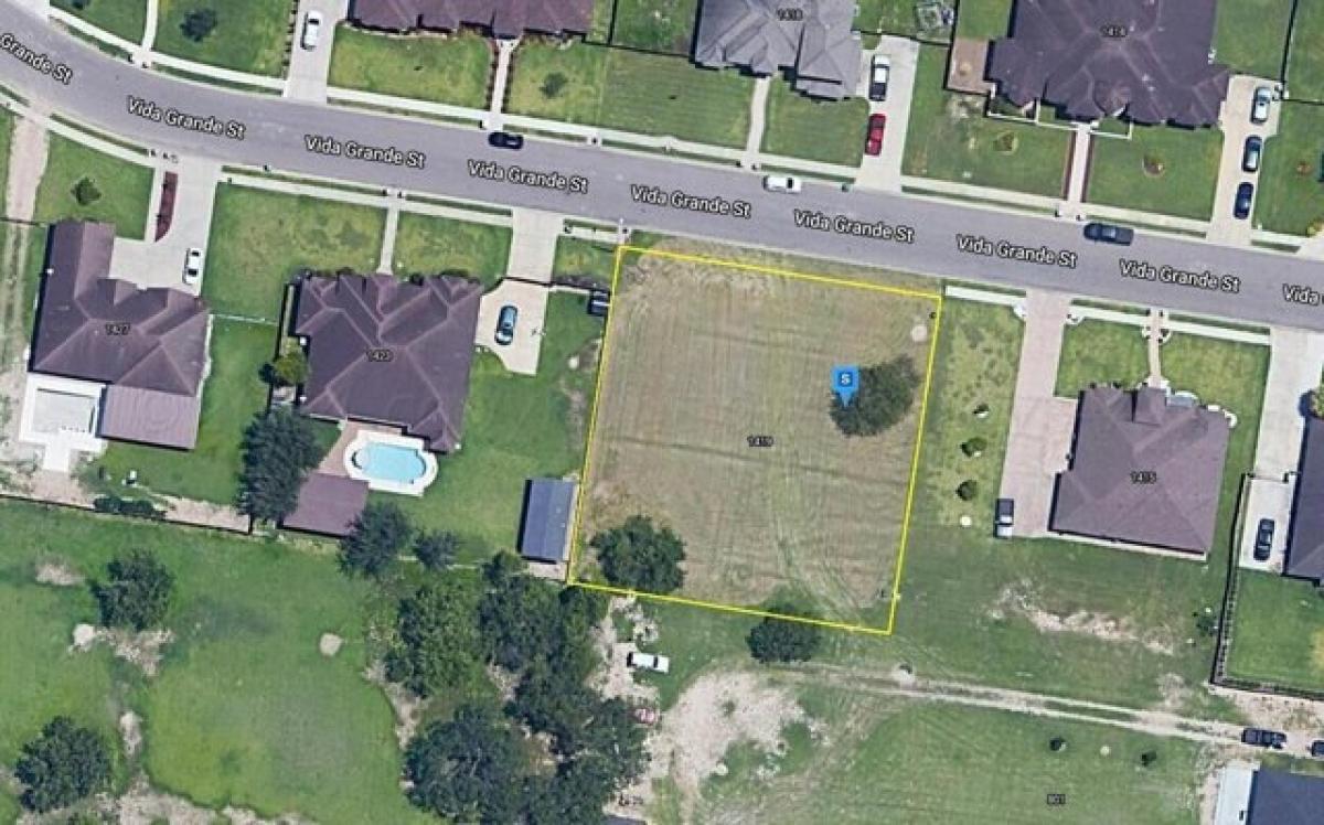 Picture of Residential Land For Sale in Alamo, Texas, United States