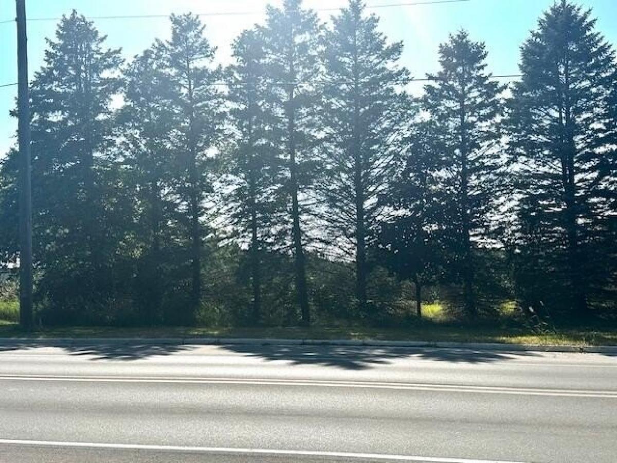 Picture of Residential Land For Sale in Manistee, Michigan, United States