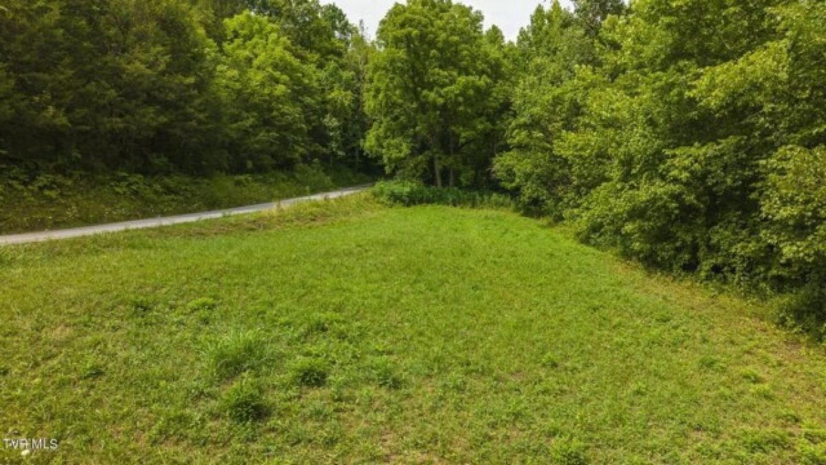 Picture of Residential Land For Sale in Eidson, Tennessee, United States