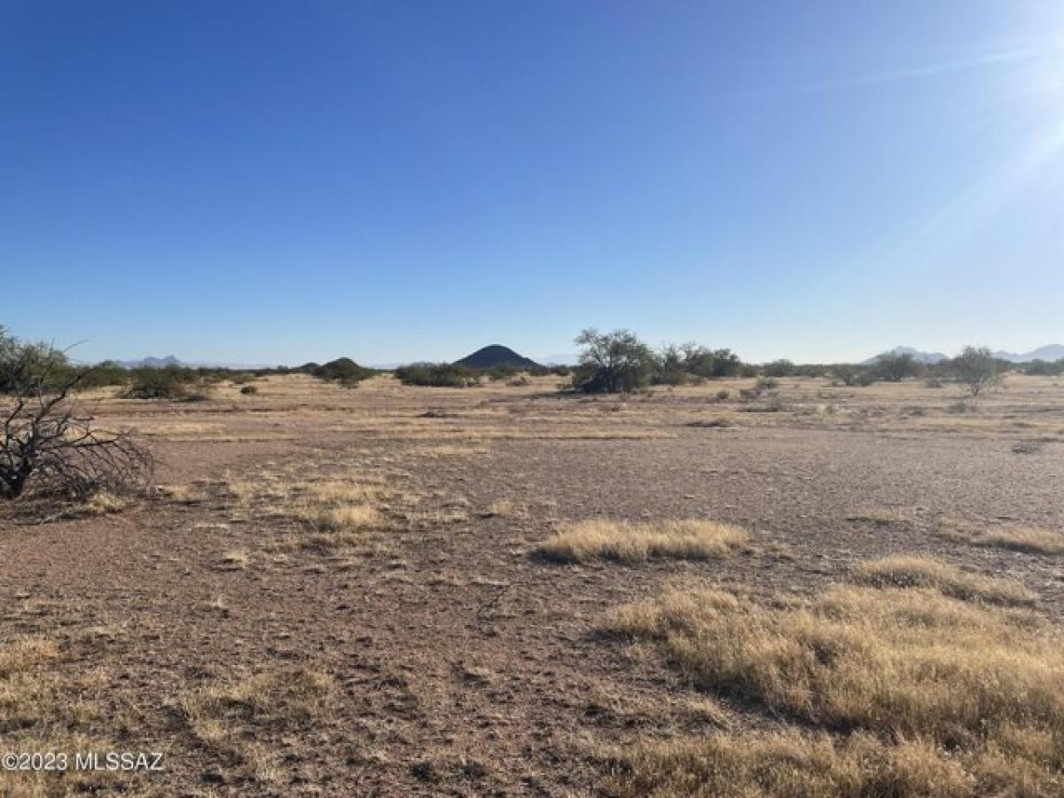 Picture of Residential Land For Sale in Eloy, Arizona, United States