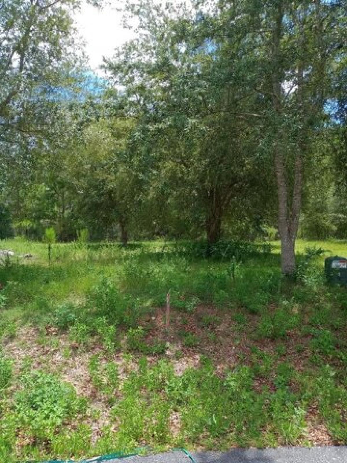 Picture of Residential Land For Sale in Steinhatchee, Florida, United States