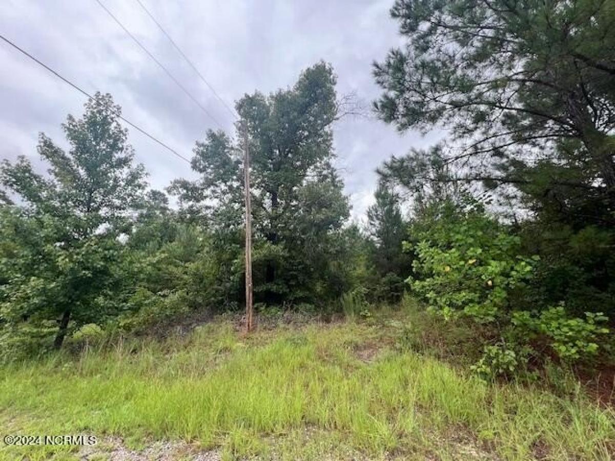 Picture of Residential Land For Sale in Laurinburg, North Carolina, United States