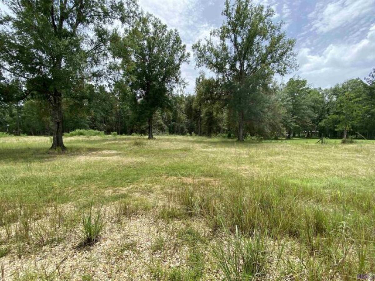 Picture of Residential Land For Sale in Holden, Louisiana, United States