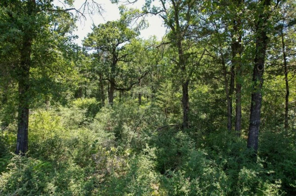 Picture of Residential Land For Sale in Franklin, Texas, United States