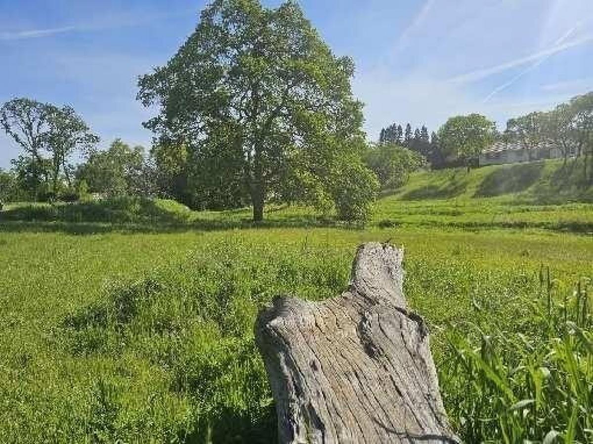 Picture of Residential Land For Sale in Valley Springs, California, United States