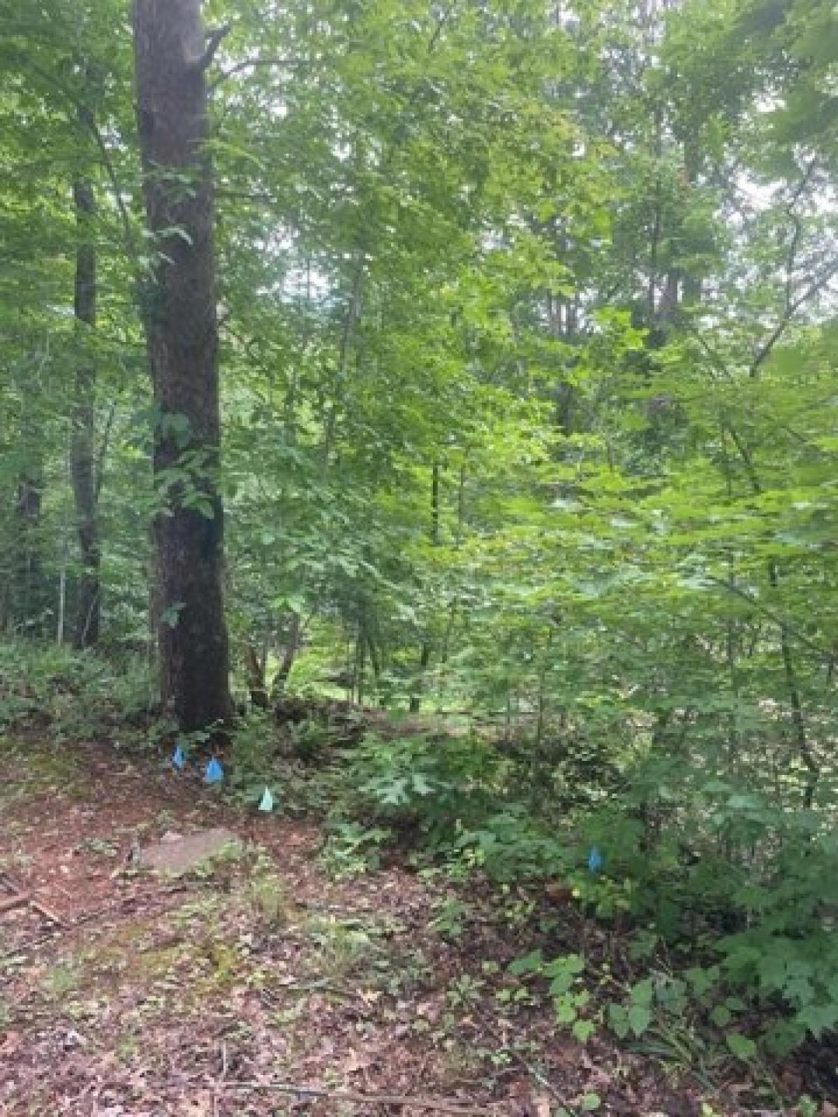 Picture of Residential Land For Sale in Hiawassee, Georgia, United States