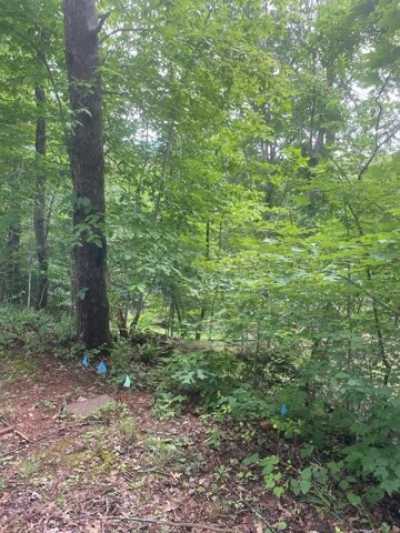 Residential Land For Sale in Hiawassee, Georgia