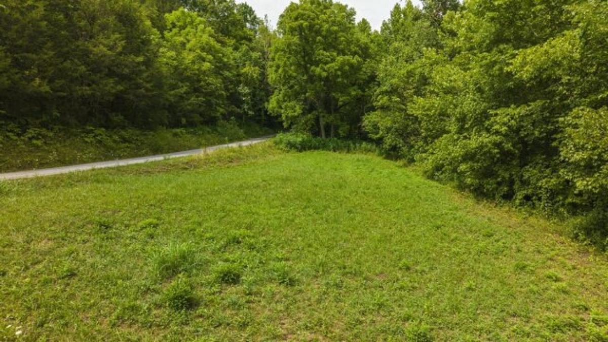 Picture of Residential Land For Sale in Eidson, Tennessee, United States