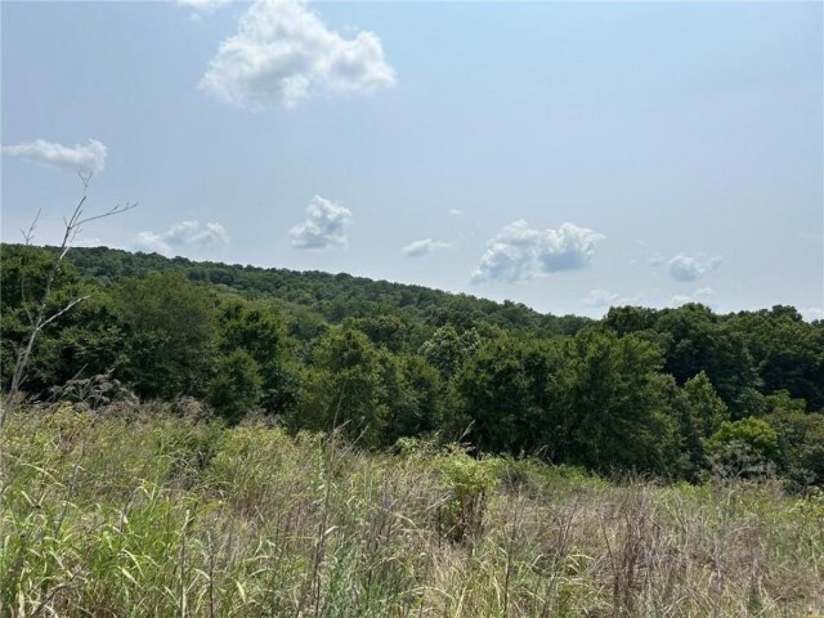 Picture of Residential Land For Sale in Lincoln, Arkansas, United States