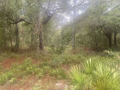 Residential Land For Sale in 