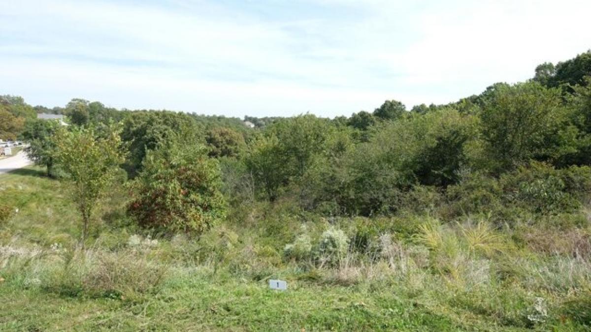 Picture of Residential Land For Sale in Branson, Missouri, United States