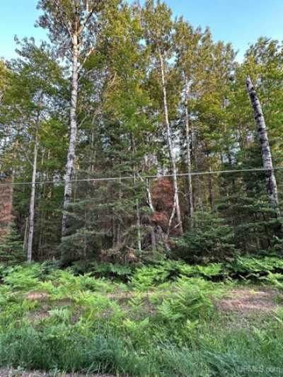 Residential Land For Sale in Gwinn, Michigan