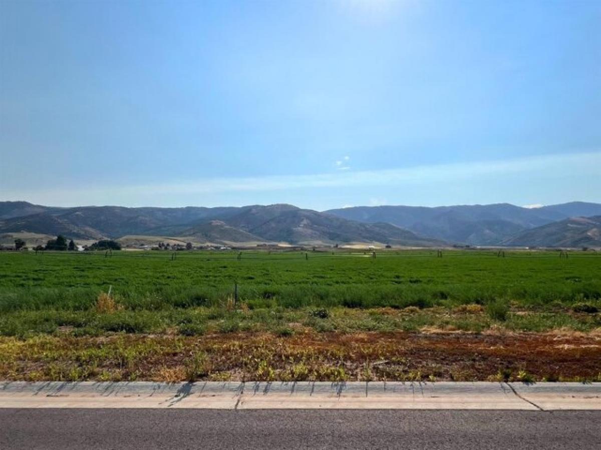 Picture of Residential Land For Sale in Grace, Idaho, United States