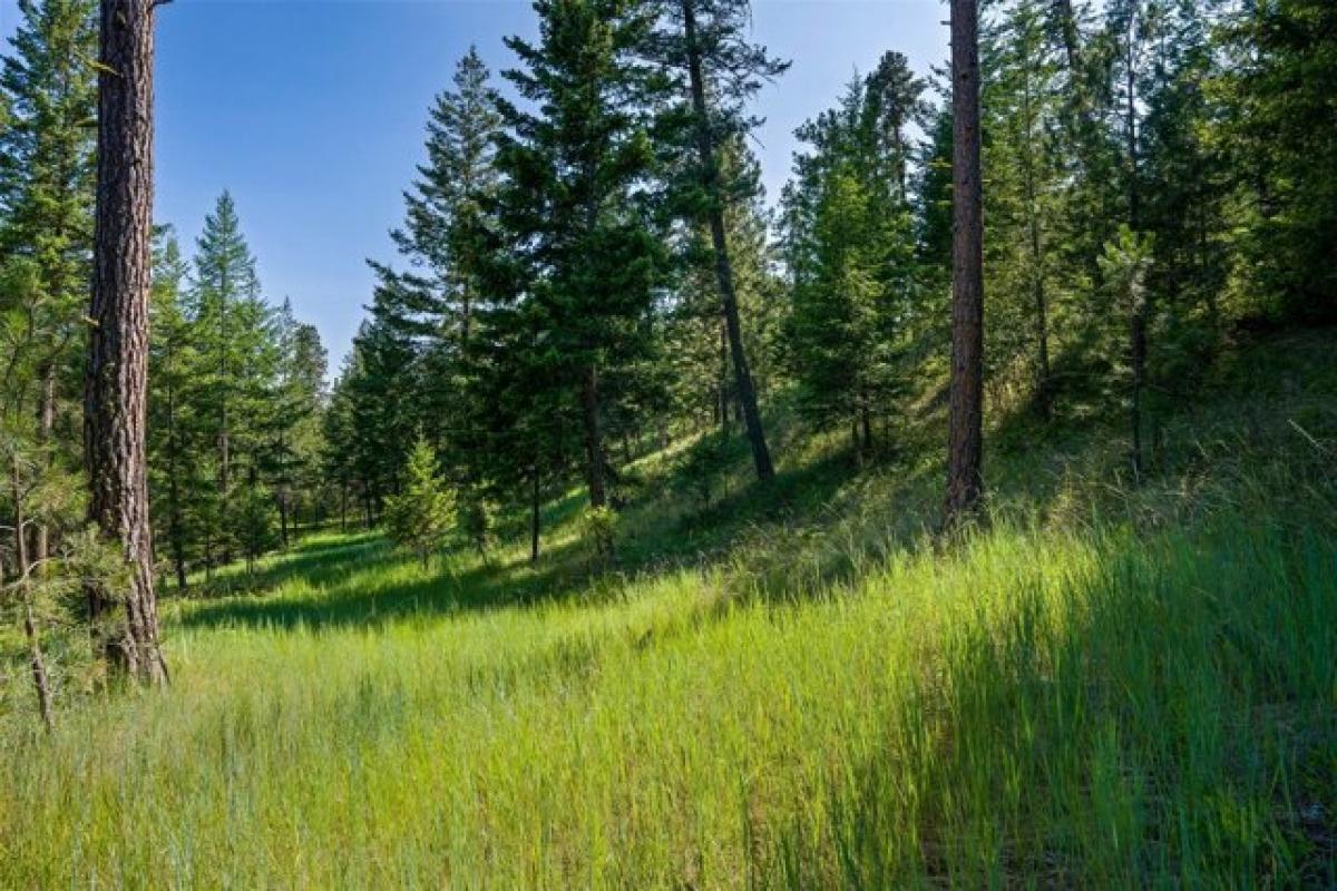 Picture of Residential Land For Sale in Rollins, Montana, United States