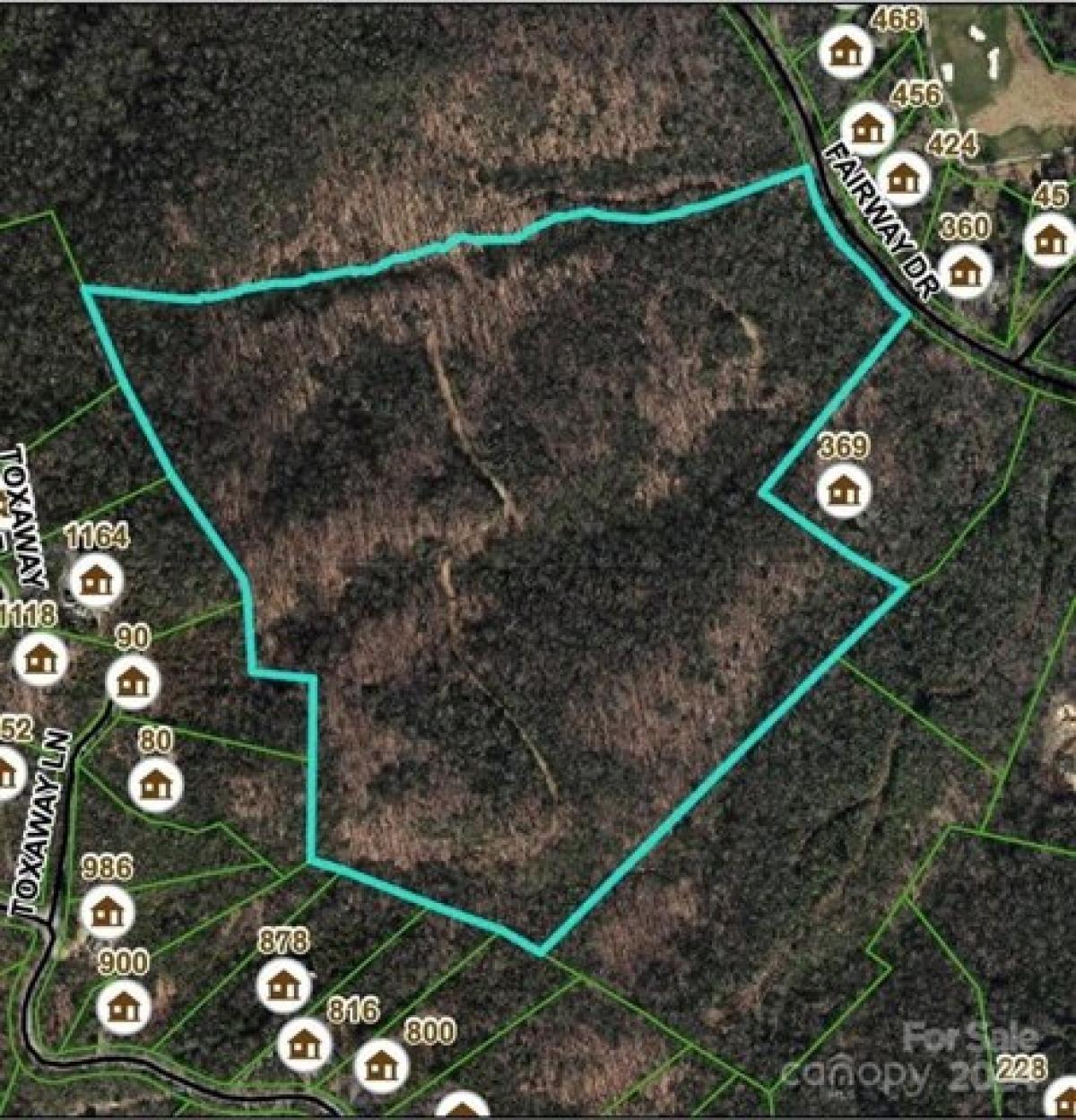 Picture of Residential Land For Sale in Lake Toxaway, North Carolina, United States