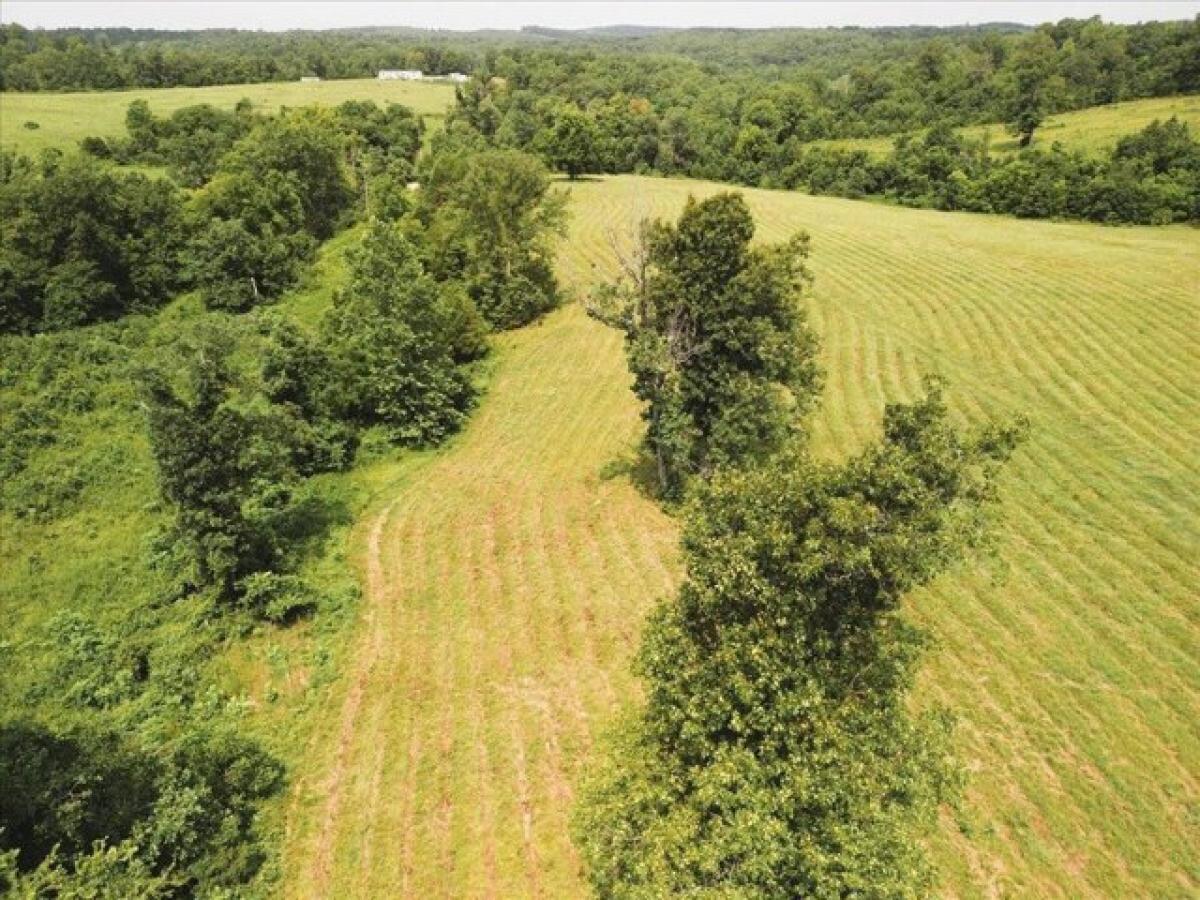 Picture of Residential Land For Sale in Dora, Missouri, United States