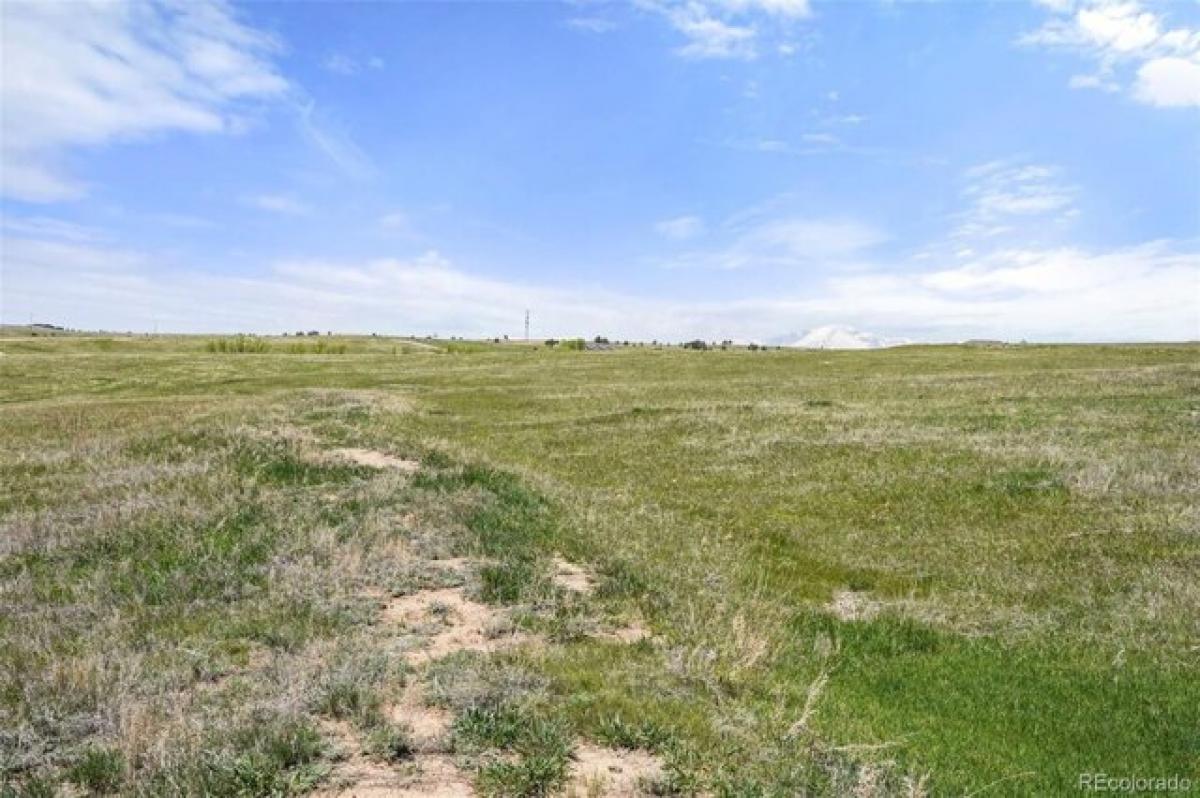 Picture of Residential Land For Sale in Colorado Springs, Colorado, United States