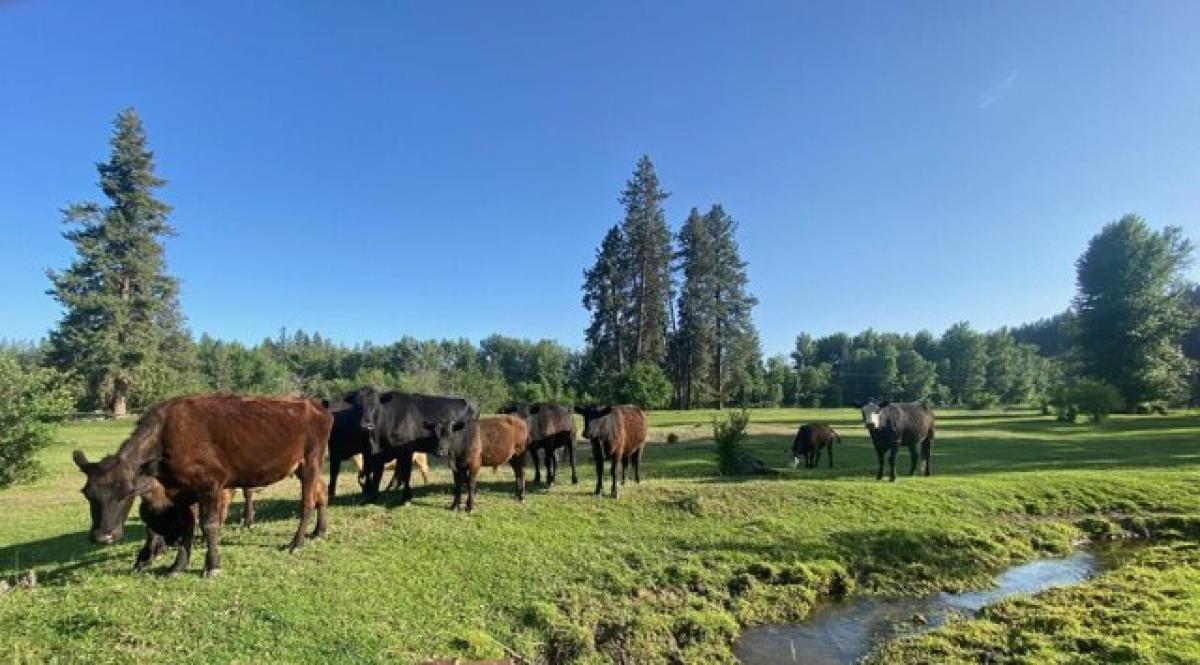 Picture of Home For Sale in Valley, Washington, United States